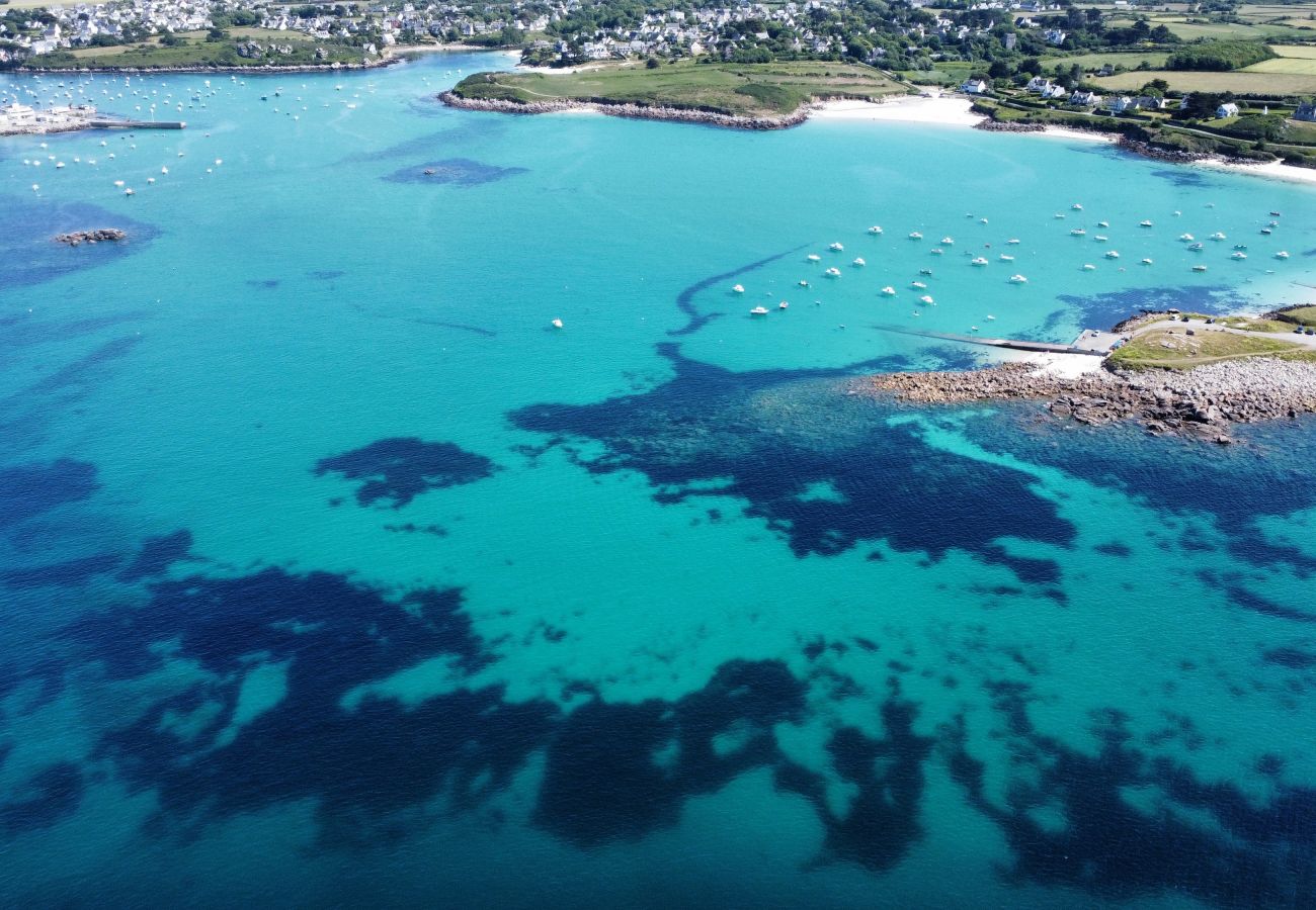 Maison à Ploudalmézeau - PORTSALL PLAGE - Grande maison familiale avec SPA 