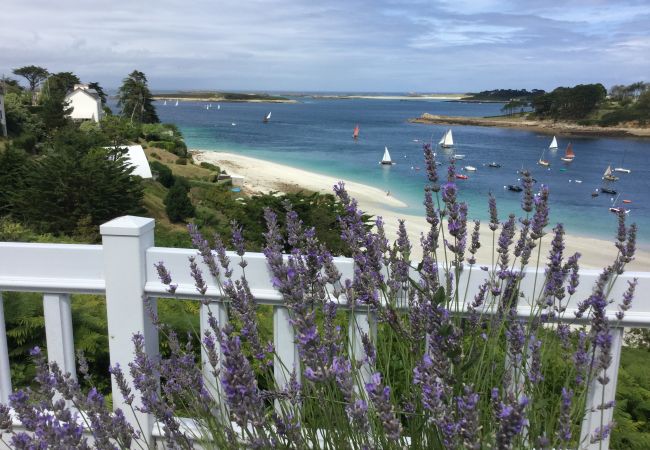 Maison à Saint-Pabu - KER HUELLA - Superbe vue mer / accès plage privé