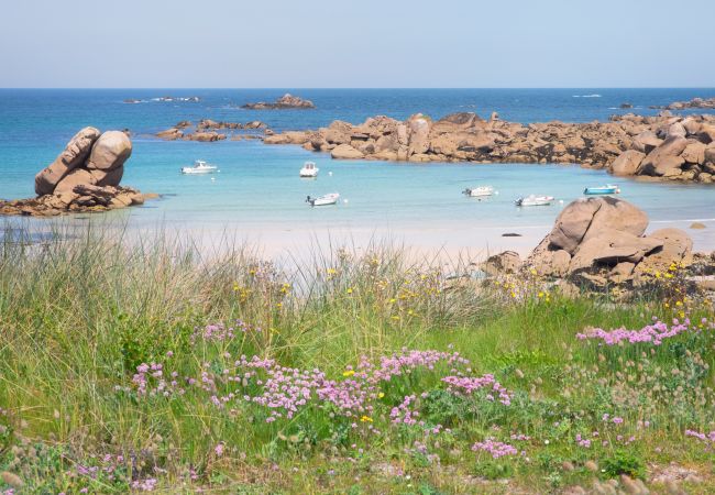 Maison à Saint-Pabu - KER HUELLA - Superbe vue mer / accès plage privé