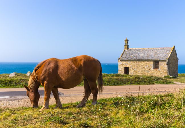 Maison à Landunvez - KER STIVELL - Jolie maison neuve à 2 pas de la mer