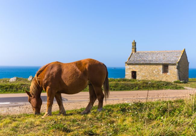 Appartement à Landéda - ILE CEZON - Duplex de luxe avec magnifique vue mer