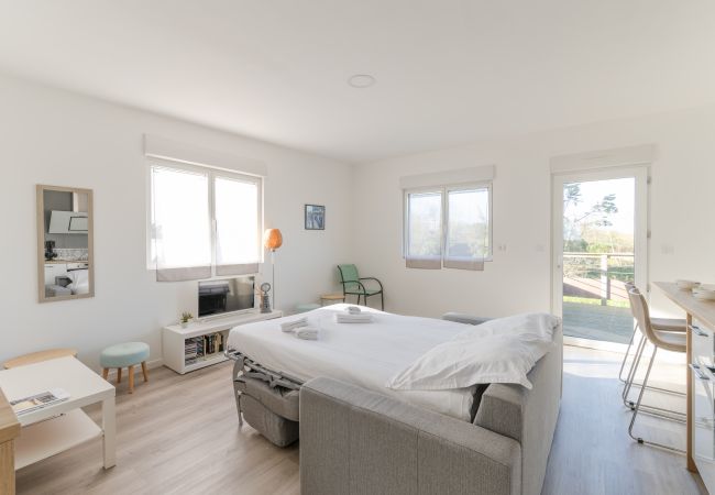 Appartement à Ploudalmézeau - ROSCAROC ENEZ AR BEG - Charmant T2 proche plage Appartement à Ploudalmézeau - ROSCAROC ENEZ AR BEG - Charmant T2 proche plage