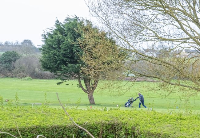 Maison à Plouarzel - ERRAGOUNAN - Joli gîte rural près du golf Maison à Plouarzel - ERRAGOUNAN - Joli gîte rural près du golf