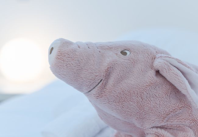 Maison à Plouguerneau - TY RAOK - Jolie maison à Lilia à 200m de la mer Maison à Plouguerneau - TY RAOK - Jolie maison à Lilia à 200m de la mer