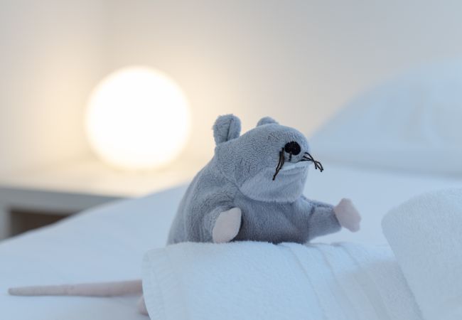 Maison à Plouguerneau - TY RAOK - Jolie maison à Lilia à 200m de la mer Maison à Plouguerneau - TY RAOK - Jolie maison à Lilia à 200m de la mer