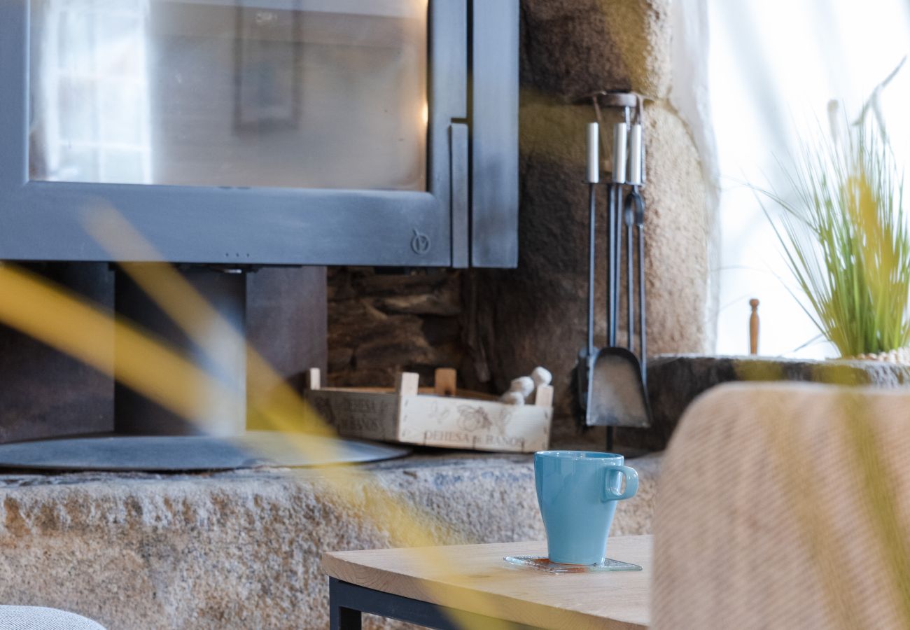 Maison à Plougonvelin - TY LAOUEN - Maison bretonne de charme avec sauna 