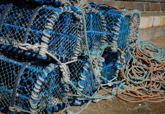 Maison à Plouguerneau - LOFT DES SABLES - Loft moderne à 50m de la plage Maison à Plouguerneau - LOFT DES SABLES - Loft moderne à 50m de la plage