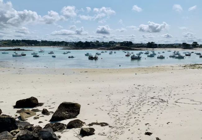 Maison à Plouguerneau - TY BAOL - Jolie maison typique bretonne proche mer Maison à Plouguerneau - TY BAOL - Jolie maison typique bretonne proche mer